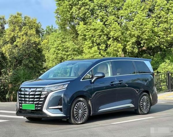 BYD DENZA