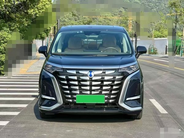 BYD DENZA