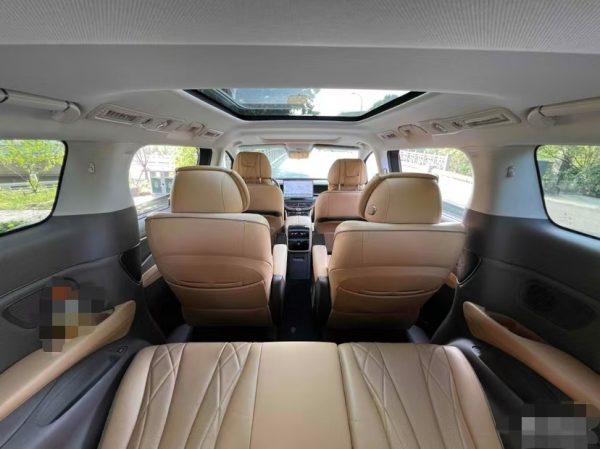 BYD DENZA