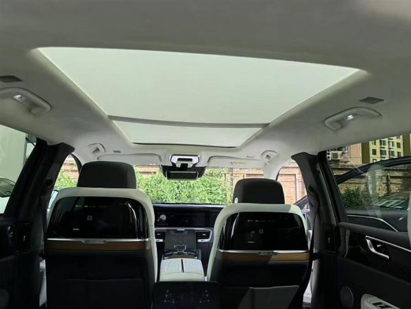 HONGQI EHS9