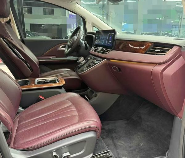Hongqi HQ9