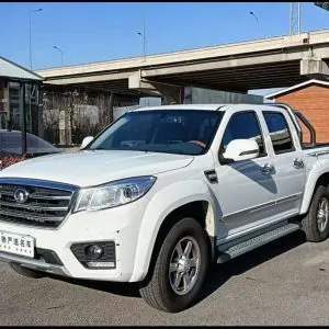 Great Wall Pickup Truck - Fengjun 6