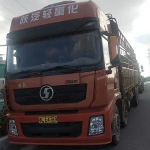 Shaanxi Heavy Truck Delong X3000