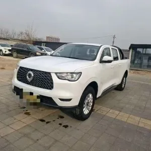 The Great Wall Cannon