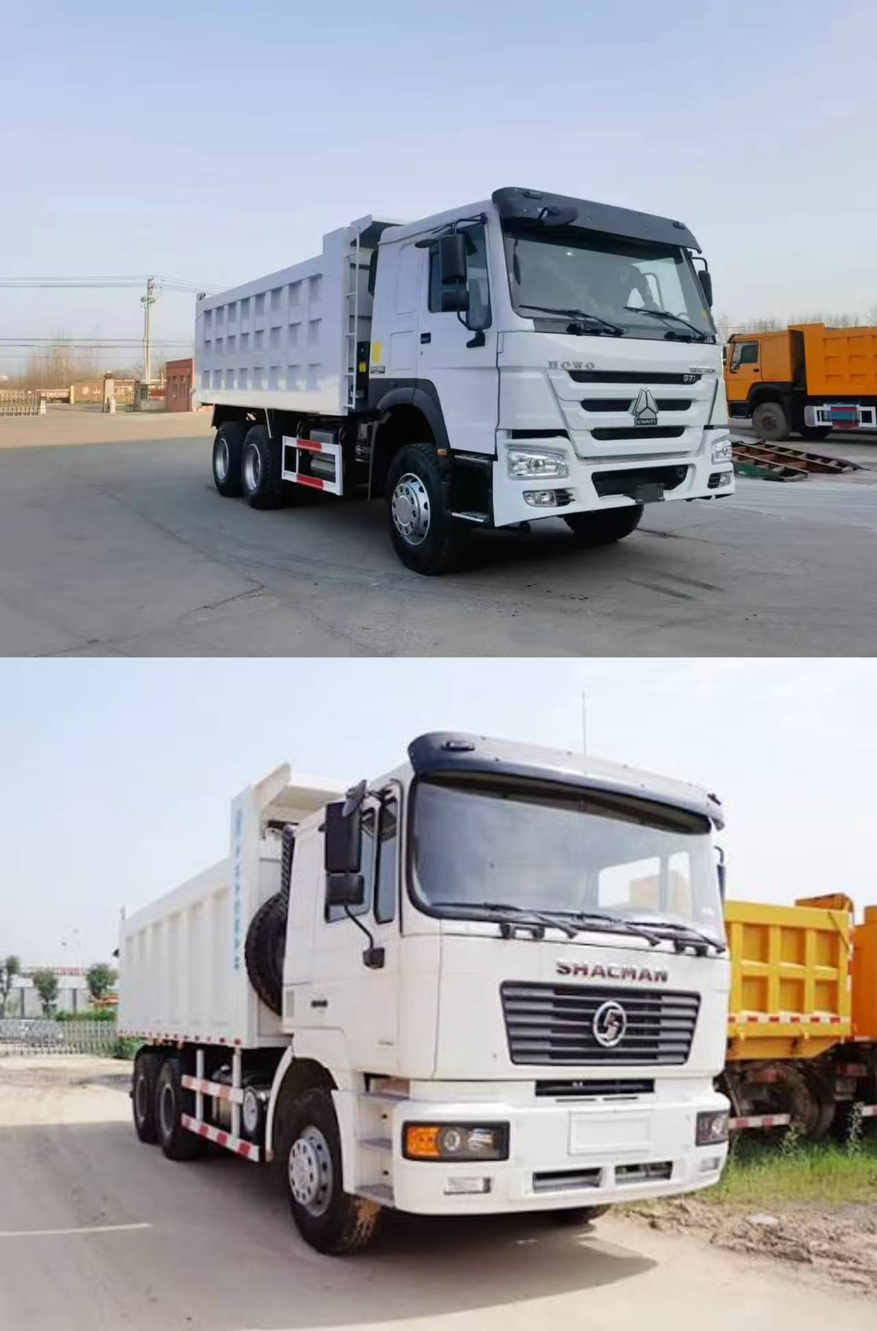 Used HOWO 371 and Shacman F3000 dump trucks parked side by side at a China export yard in 2026
